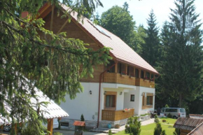 Гостиница Arnica Montana  Ариешени